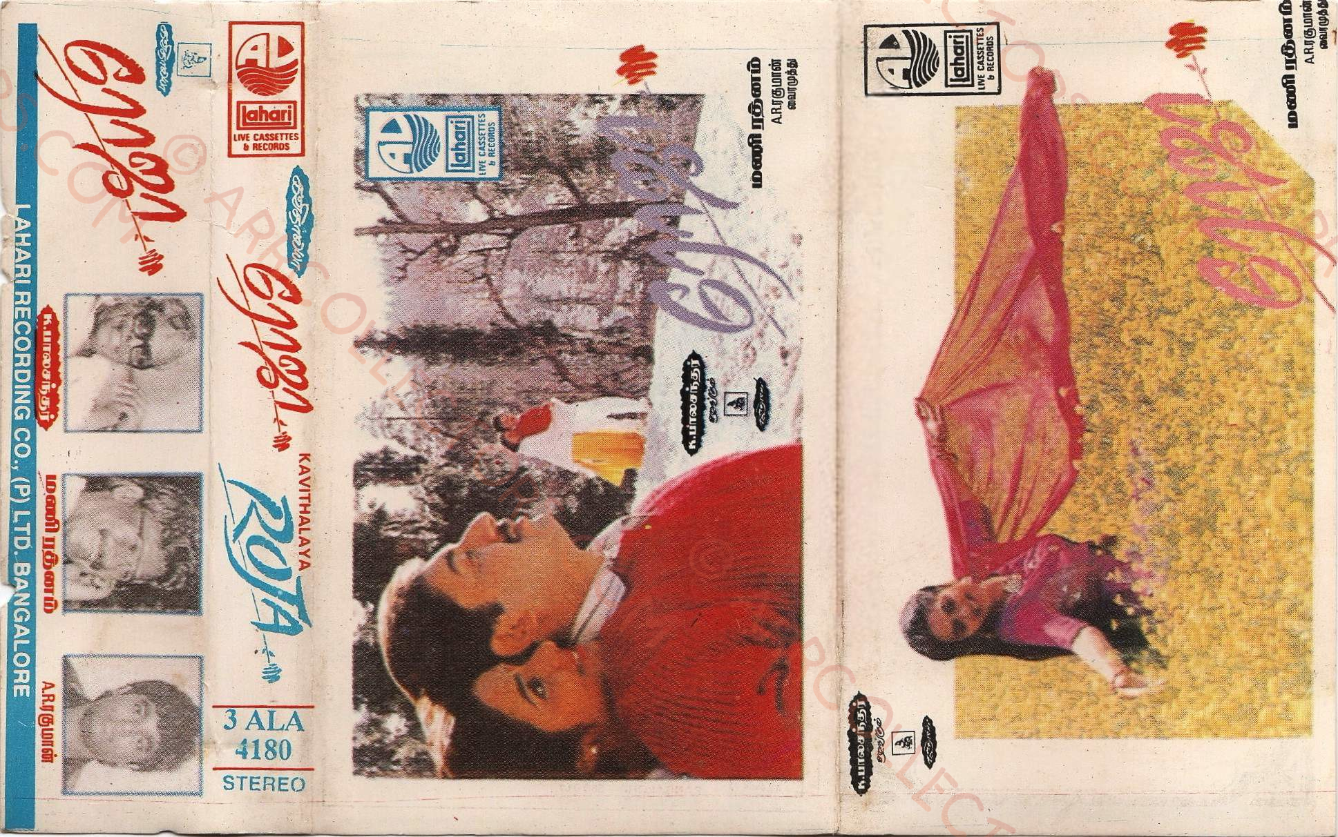Roja Cover