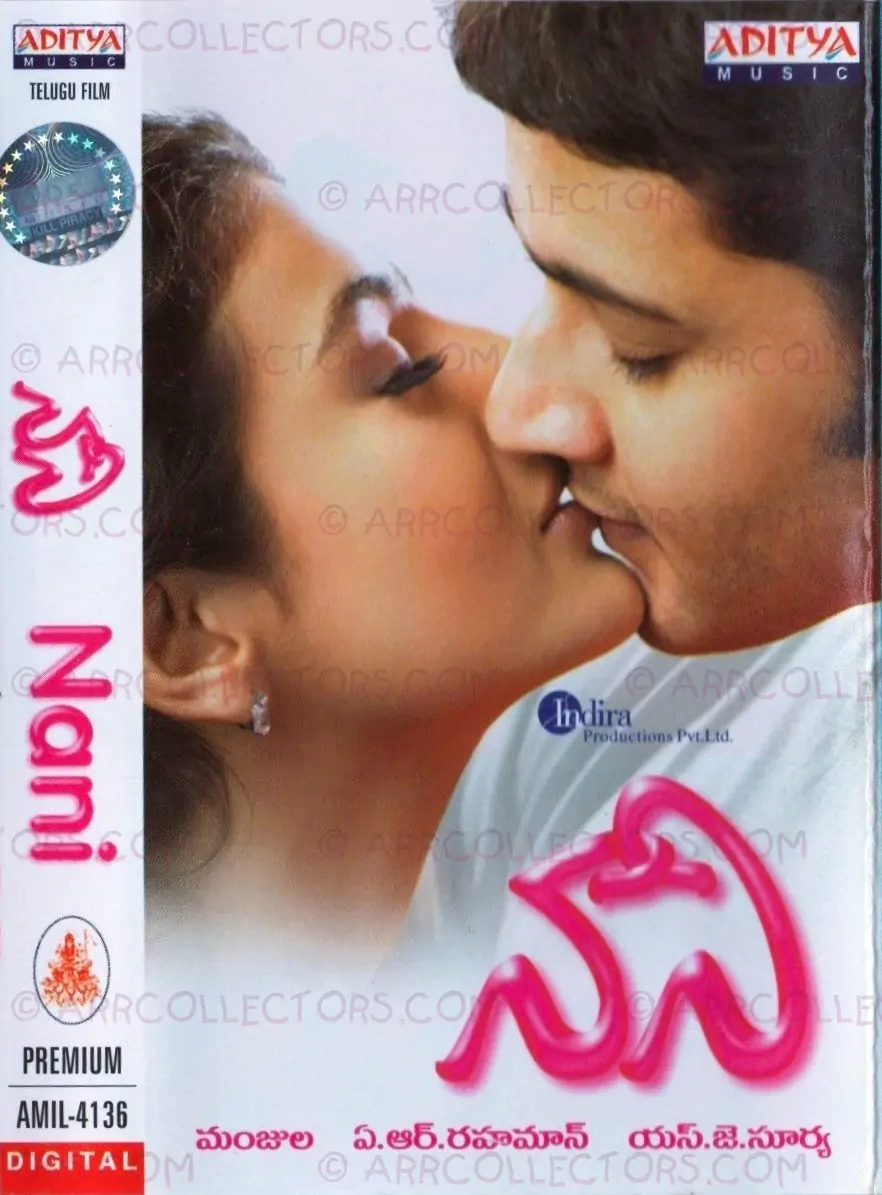 Naani Cover